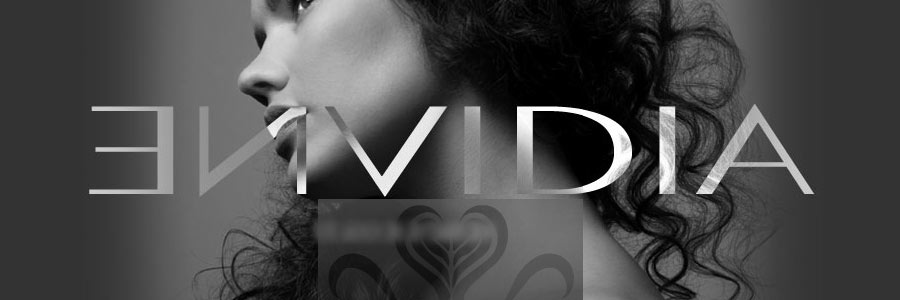 ENVIDIA Webware prototype